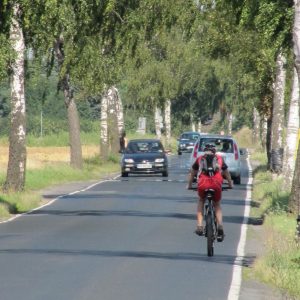 Wann kommt die Sanierung der Birkenallee